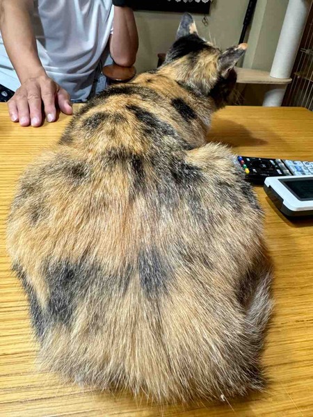 FullSizeRender