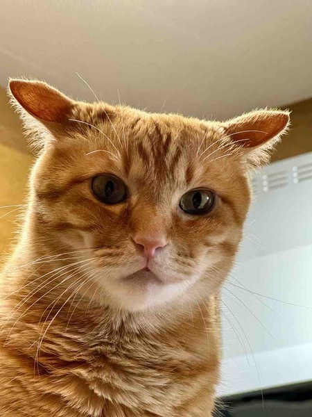 FullSizeRender