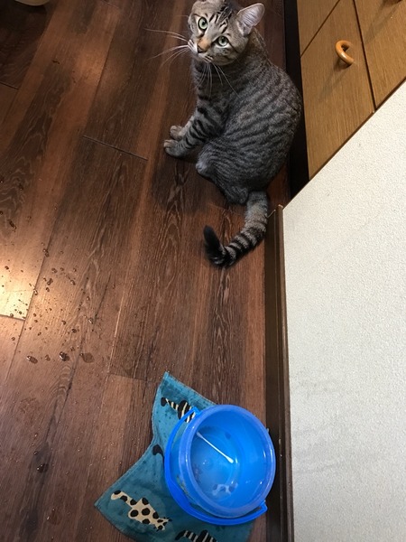 2017-09-17-16-02-10