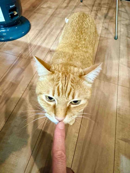 FullSizeRender
