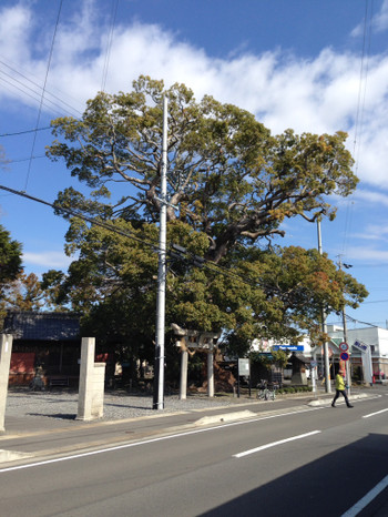 c9336930.jpg