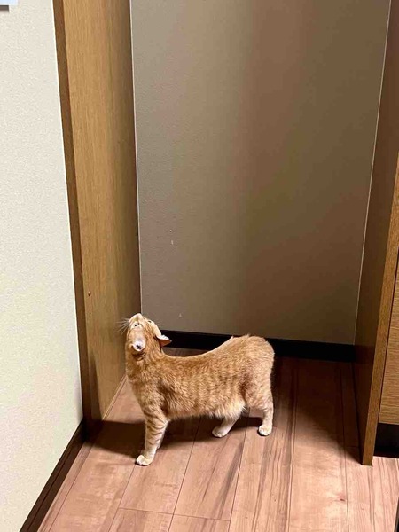 FullSizeRender