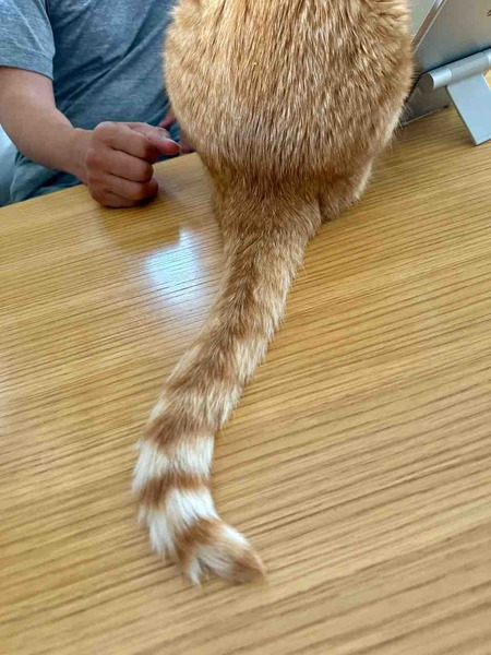 FullSizeRender