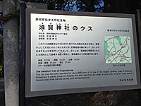 ec89090e.jpg