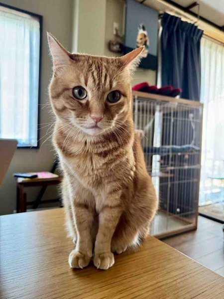 FullSizeRender