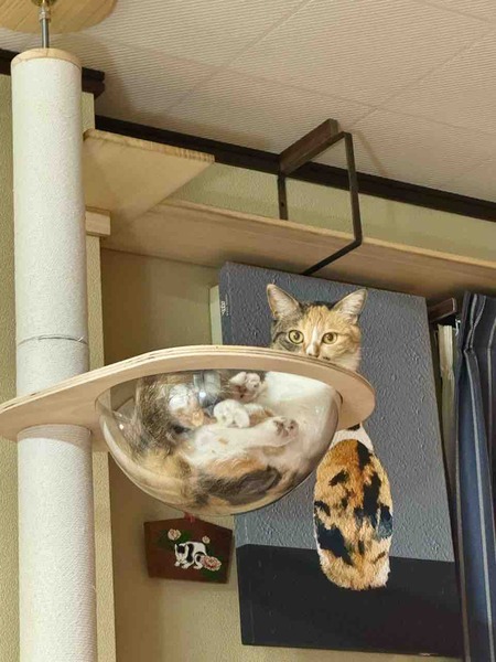 FullSizeRender