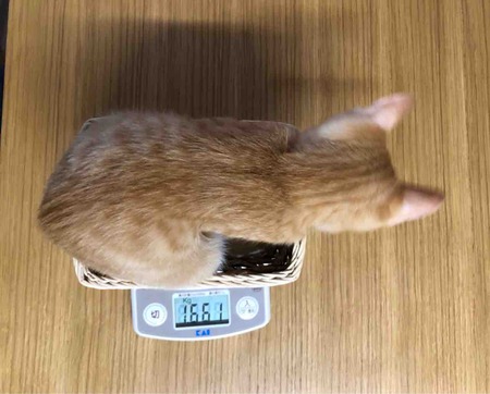 FullSizeRender