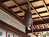 fee7a89c.jpg