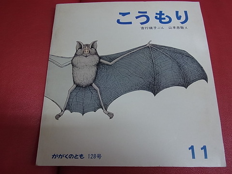 RIMG0013