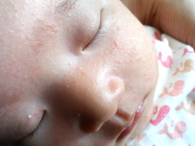 ふと気づくと Tone And Leon Diary