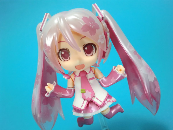 sakuramiku17