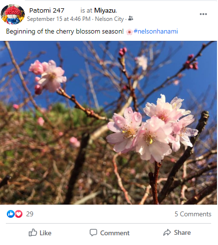 FBNELSONHANAMI