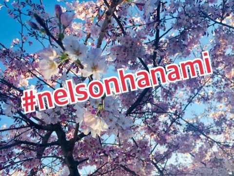 Sakura hashtag