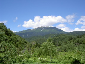 ����ƽ���