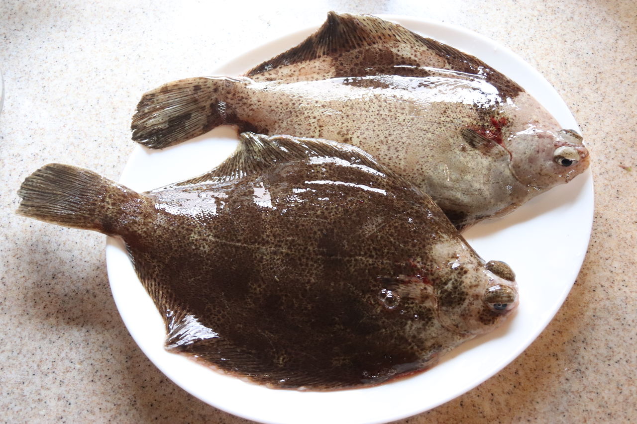 明石浦漁協から仕入れたメイタカレイ 野菜と魚のおもてなしサロン Maman S Dream 神戸 明石