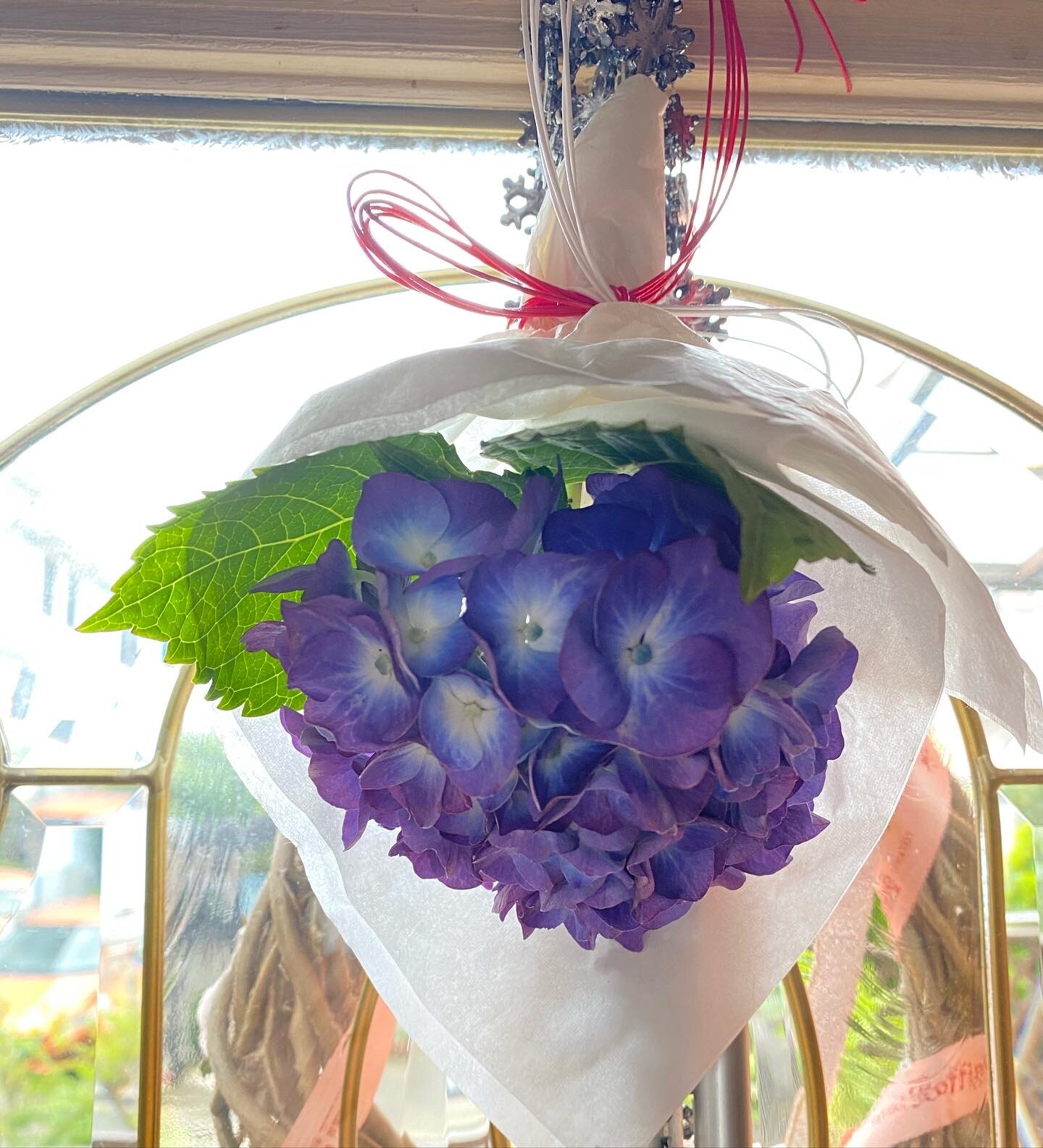 紫陽花のおまじない 野菜と魚のおもてなしサロン Maman S Dream 神戸 明石