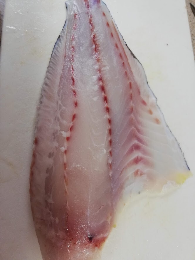 幻の高級魚 愛媛のマハタチャレンジモニター 野菜と魚のおもてなしサロン Maman S Dream 神戸 明石