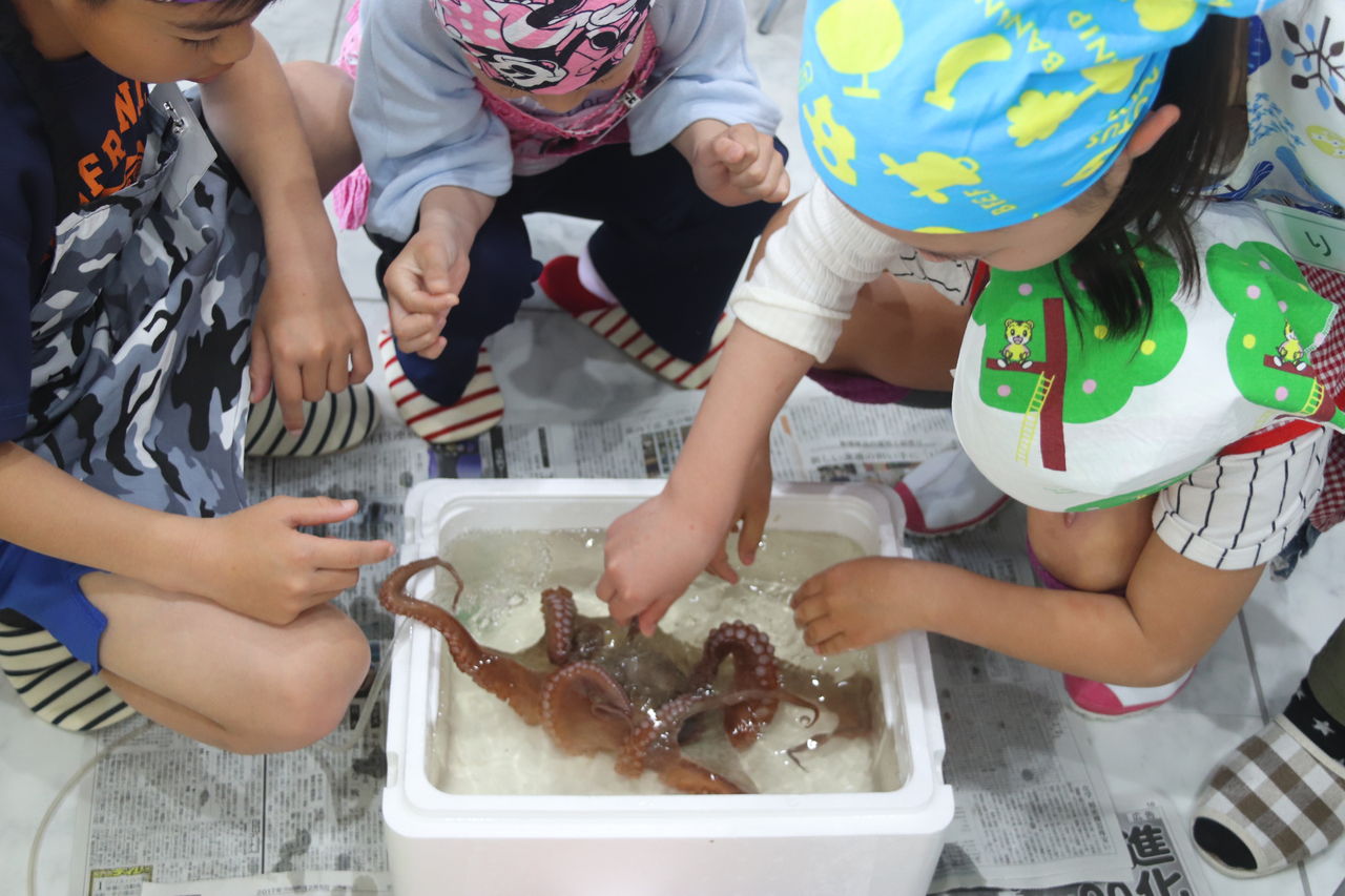 春休み こどもたち魚さばき 料理に挑戦 野菜と魚のおもてなしサロン Maman S Dream 神戸 明石 春休み こどもたち魚さばき 料理に挑戦 野菜と魚のおもてなしサロン Maman S Dream 神戸 明石
