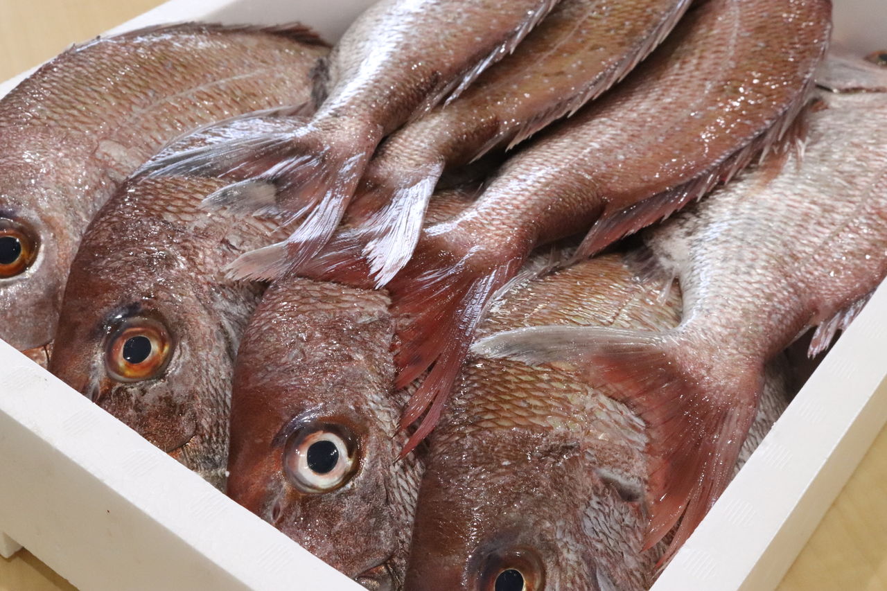 魚さばき教室 野菜と魚のおもてなしサロン Maman S Dream 神戸 明石