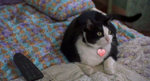 プリティ プリンセス 猫がいたscene