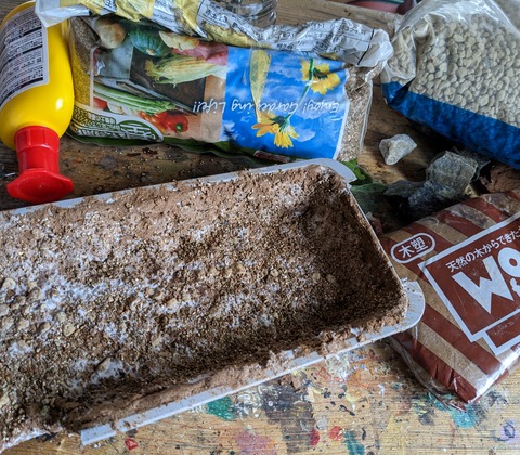 鳥居ジオラマ１２