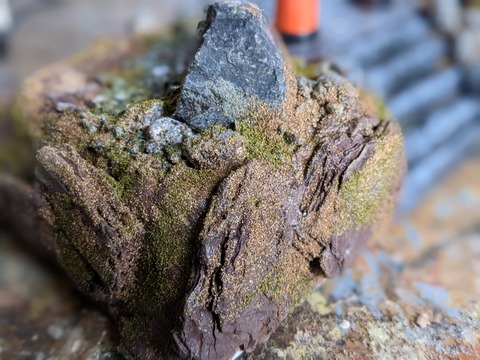 鳥居ジオラマ２９