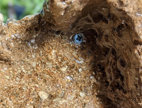 鳥居ジオラマ３３