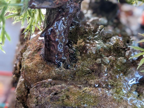 PXL_20230520_231802447.PORTRAIT