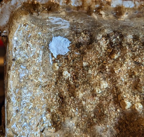 鳥居ジオラマ１８