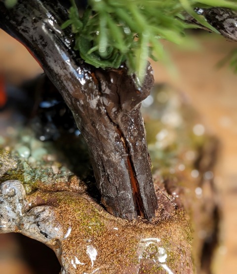 鳥居ジオラマ３２