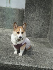 DSC01596