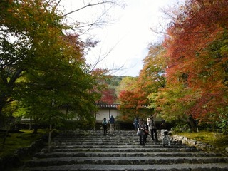 P1000394
