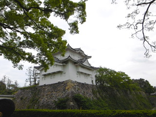 P1000103