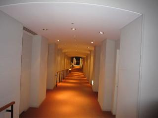 445e3a9e.jpg