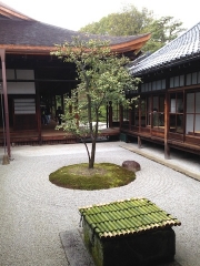 508a958c.jpg
