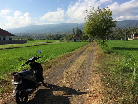 バリ島 350