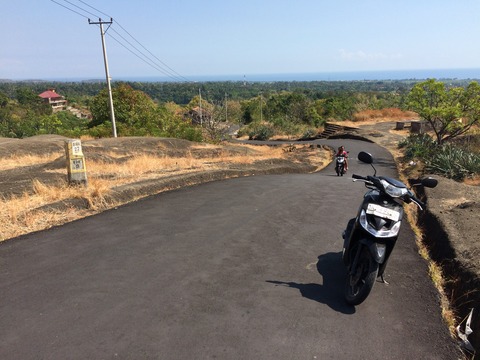 バリ島 396