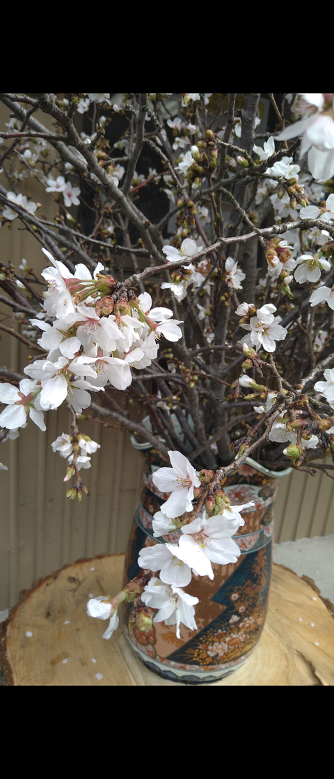 Screenshot_20240408-084748