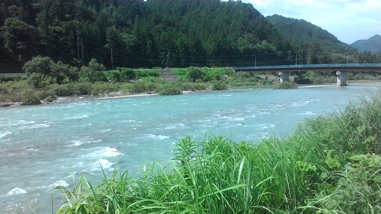 友釣り日記(長良川、根尾川、馬瀬川、益田川など）