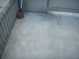 20110423PR cleaning1