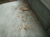 20110423PR cleaning3