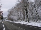 img_380319_9101630_4