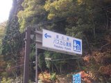 img_380319_9101630_1