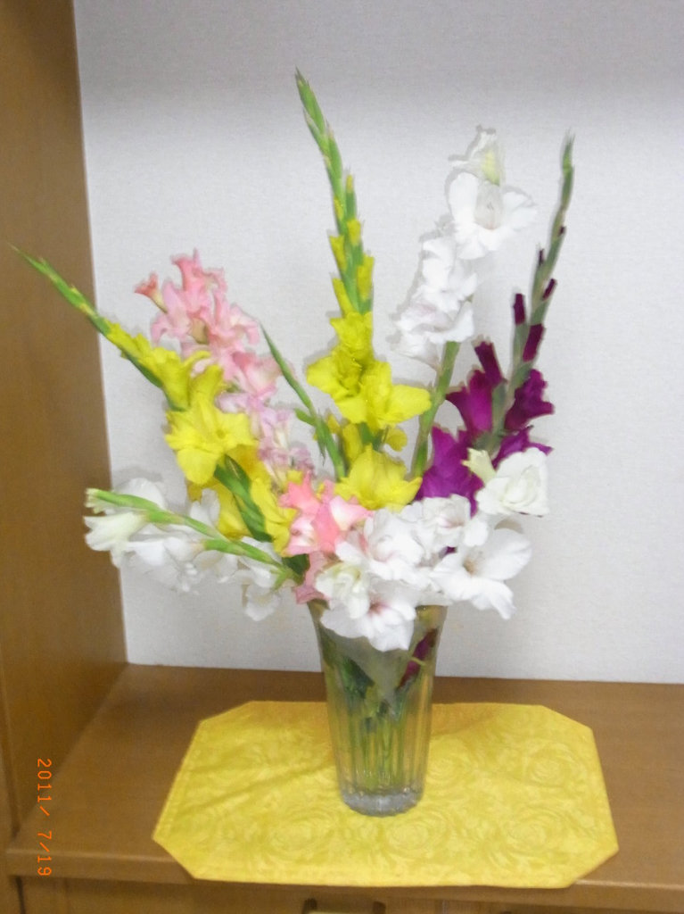 台風を避けて生け花に グラジオラス 三篠川のそばで家庭菜園と果物作り 台風を避けて生け花に グラジオラス 三篠川のそばで家庭菜園と果物作り