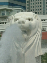 ���󥬥ݡ��롧�ޡ��饤����