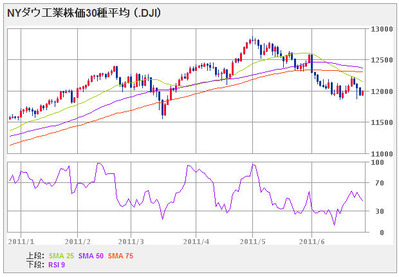 nydow110627_6month
