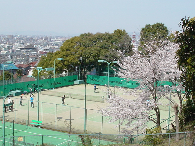 DSC05233