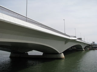 柳都大橋を見物する その１ 新潟散策
