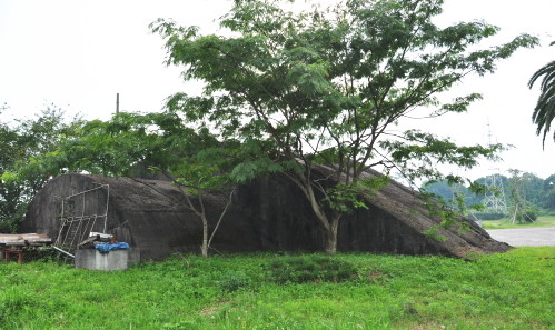 ���쳤���Ҷ��⡡���ι�