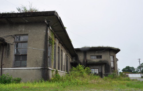 ���쳤���Ҷ��⡡�ش���